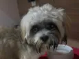 Não sabemos