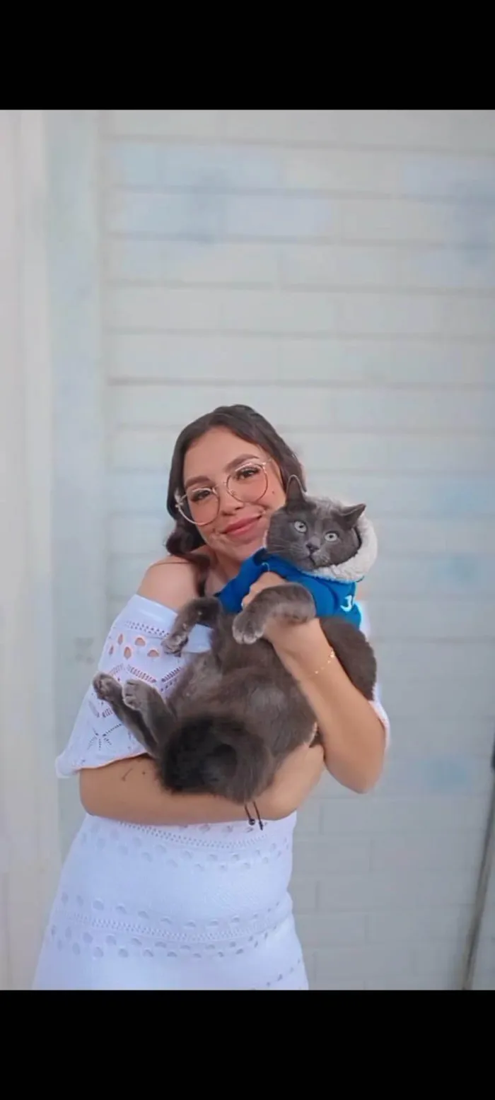 Gato ra a SRD-ViraLata idade 6 ou mais anos nome Doodles