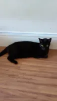 Lua