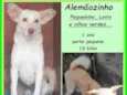 Alemãozinho