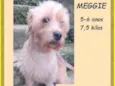 Meggie