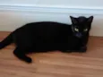 Lua