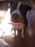 Athena