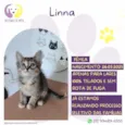 Linna