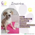 Zeuzinha
