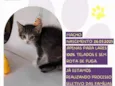 Bilbo