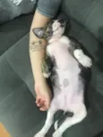 Penélope
