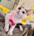 Zoe 