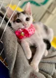 Zoe 