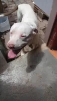 Zyon