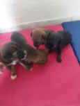 Zeus 