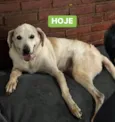 Linha 