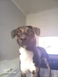 Marley