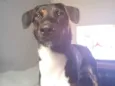 Marley