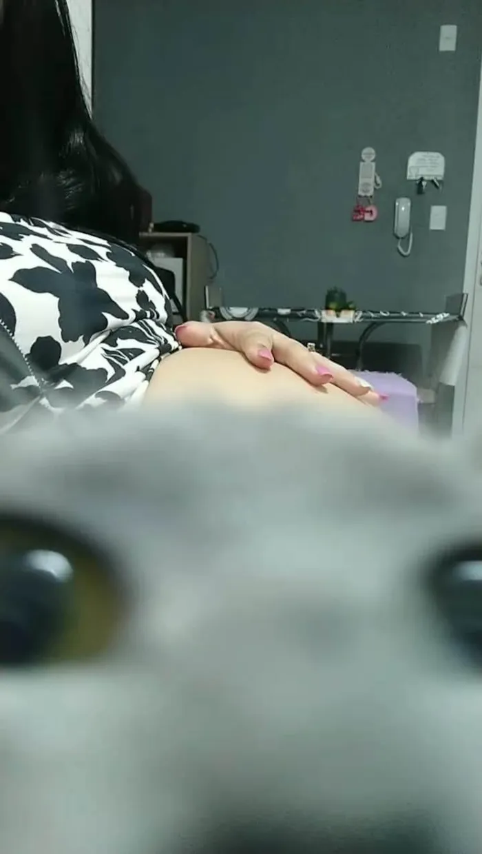 Gato ra a SRD-ViraLata idade 3 anos nome Manu