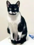Tony