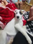Kiko