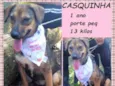 Casquinha