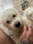 Tony