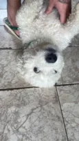 Tony