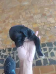 Não coloquei nome