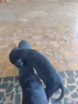 Não coloquei nome