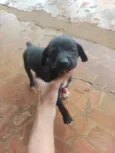 Não coloquei nome