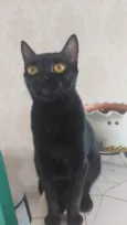 Lua