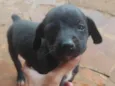 Não coloquei nome