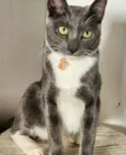 Bruce