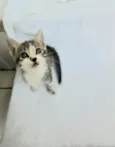 Carlos
