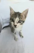 Carlos