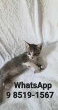 Carlos