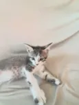 Carlos