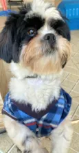 Nick
