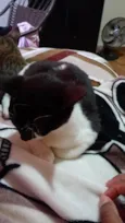 Miu