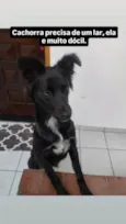 Porte P/M Urgente