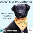Huguinho