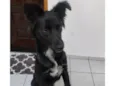 Porte P/M Urgente