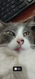Mel