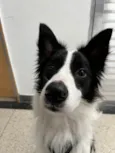 Lucky
