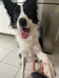 Lucky