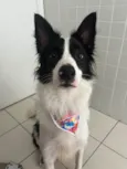 Lucky