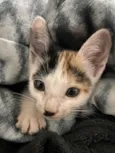 Zoe