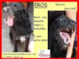 Eros