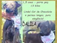 Dalila