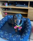 Charlie