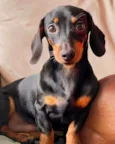 Charlie