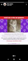 Pão de Queijo