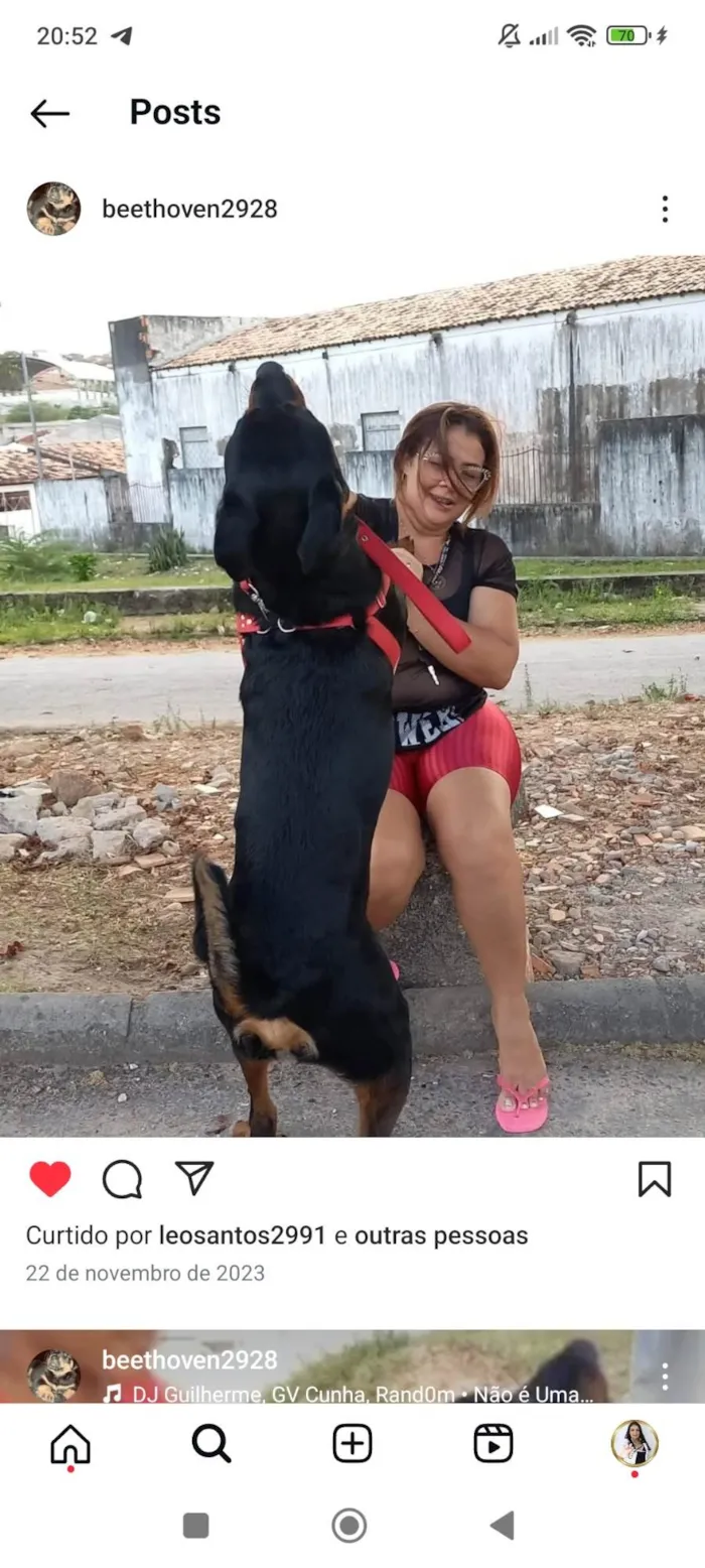 Cachorro ra a Rottweiler idade 2 anos nome Andrezia balbino 